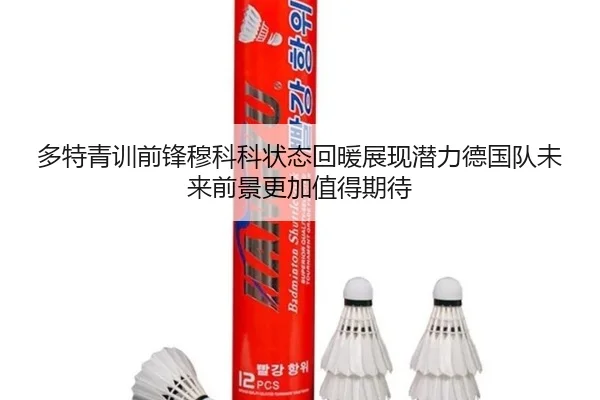 多特青训前锋穆科科状态回暖展现潜力德国队未来前景更加值得期待
